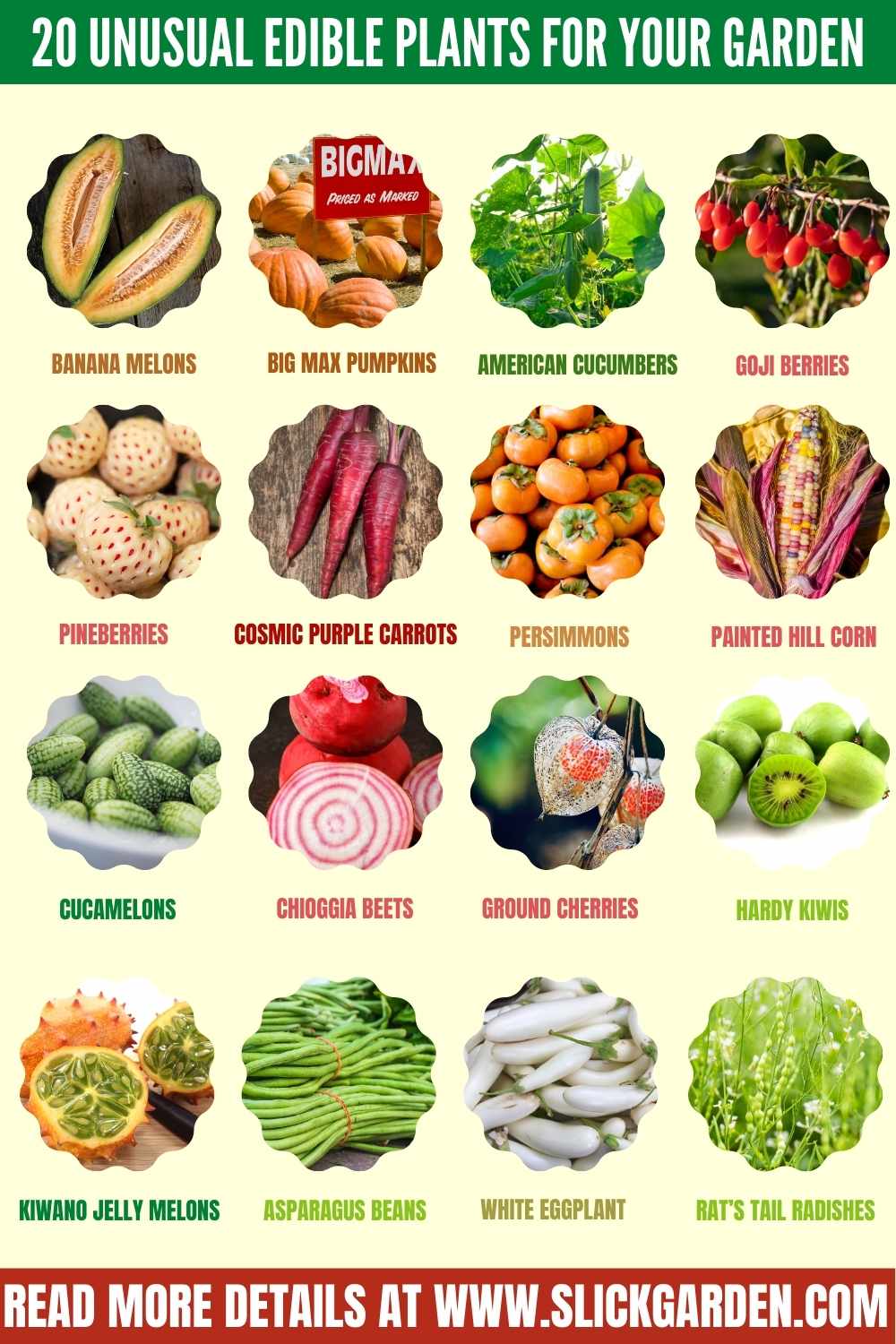 20 Unusual Edible Plants For Your Garden Slick Garden 20 Unusual Edible Plants For Your Garden Slick Garden