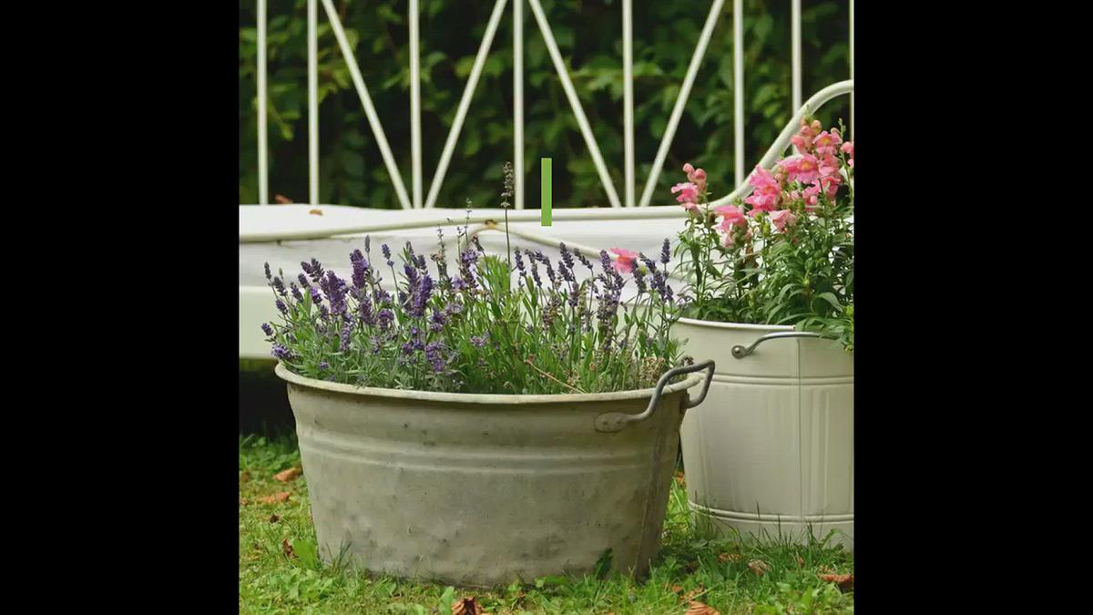 'Video thumbnail for 10 Best DIY & Cheap Container Vegetable Gardening Ideas Anyone Can Use'