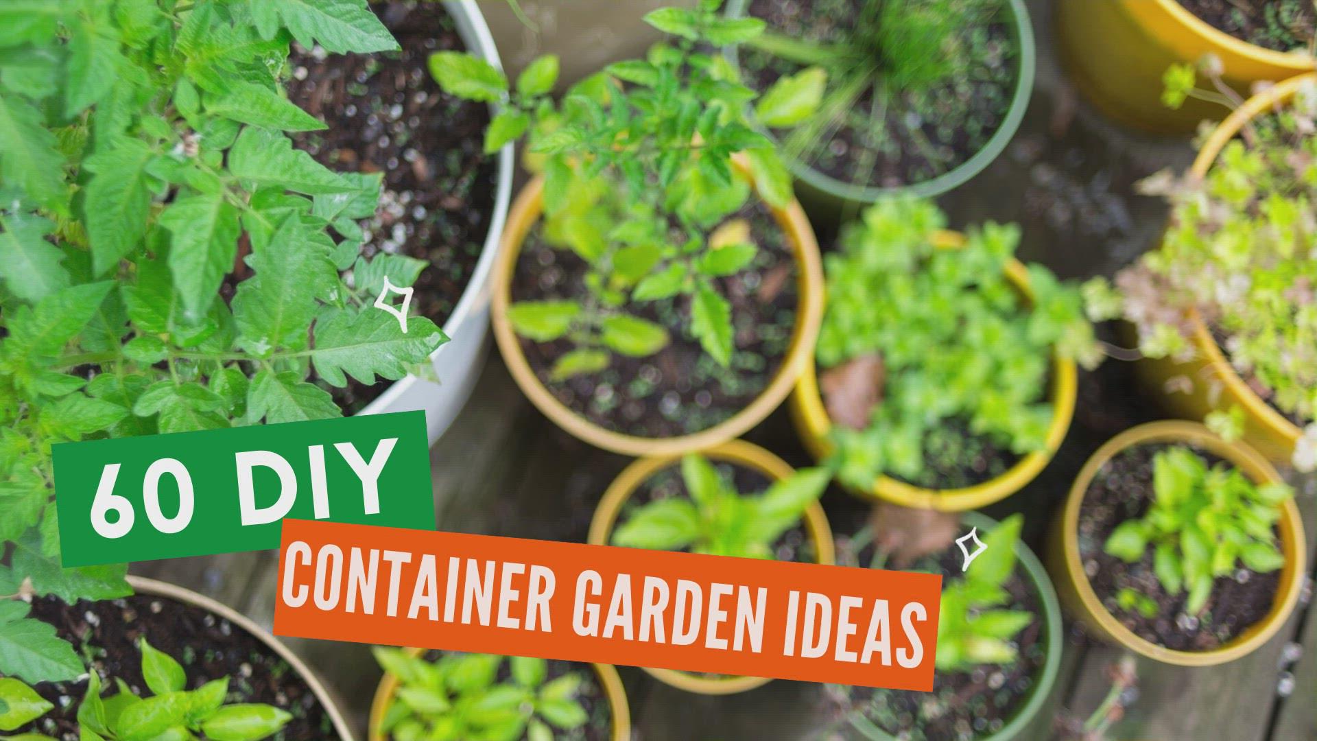 'Video thumbnail for 60 DIY Container Garden Ideas '