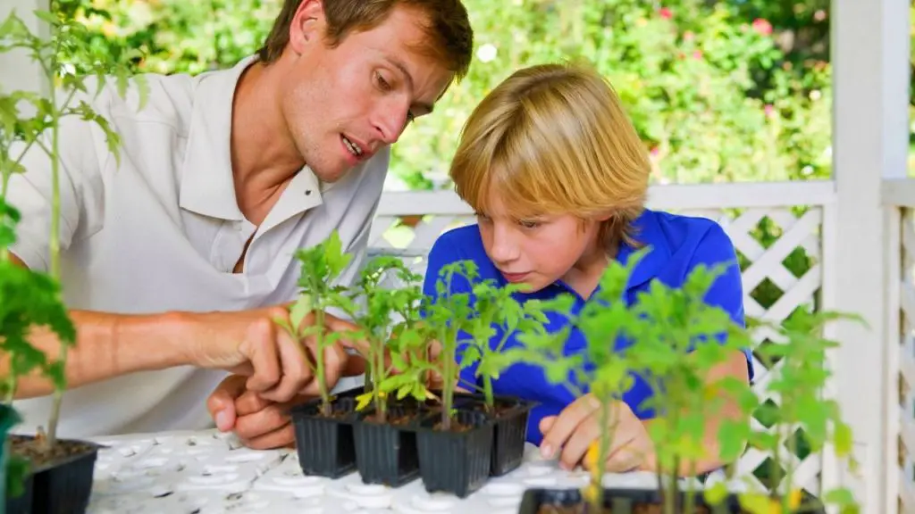 Seeds to Sow & Grow with Kids 