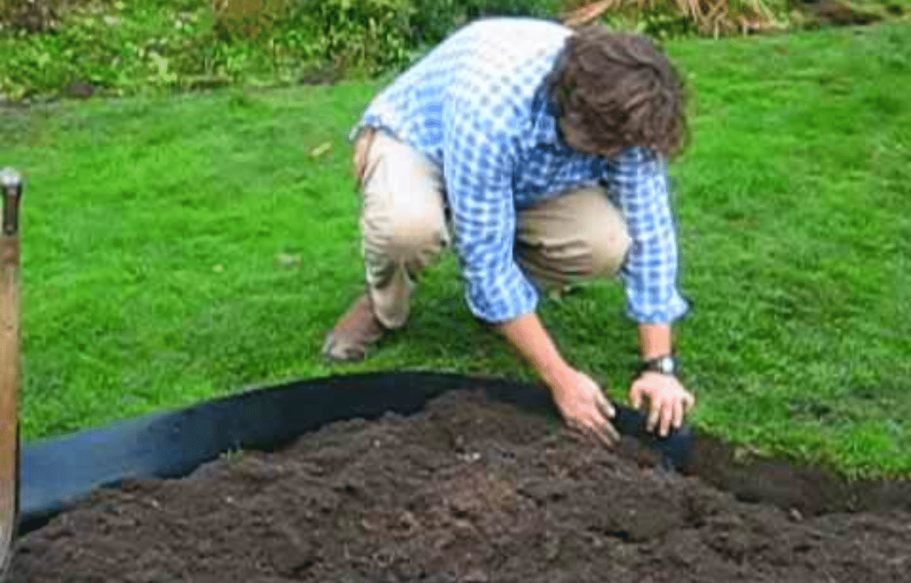Everything You Need To Know About Preparing A Garden Bed For Planting