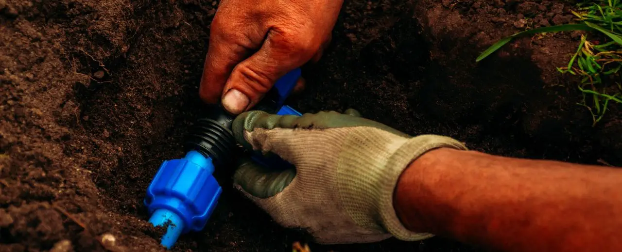 How Often Should I Water A Raised Vegetable Garden? Dos and Don’ts