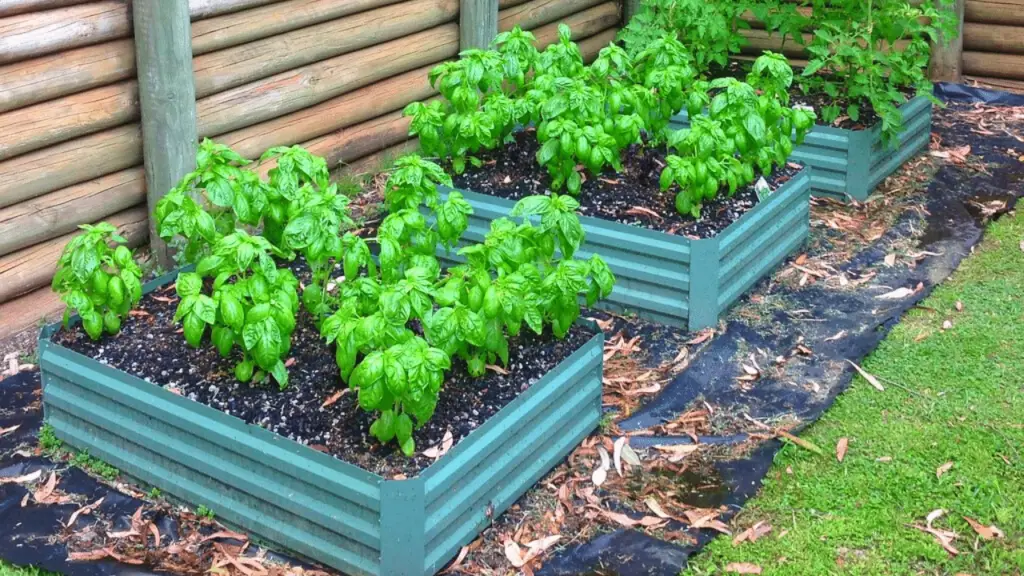 raised bed gardening soil mix