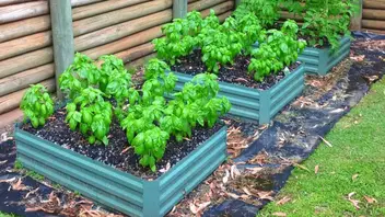 Soil For Raised Bed Raised Bed Gardening Soil Mix Recipe Slick Garden