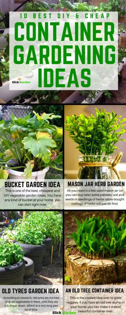 10 Best Diy Cheap Container Vegetable Gardening Ideas Anyone Can