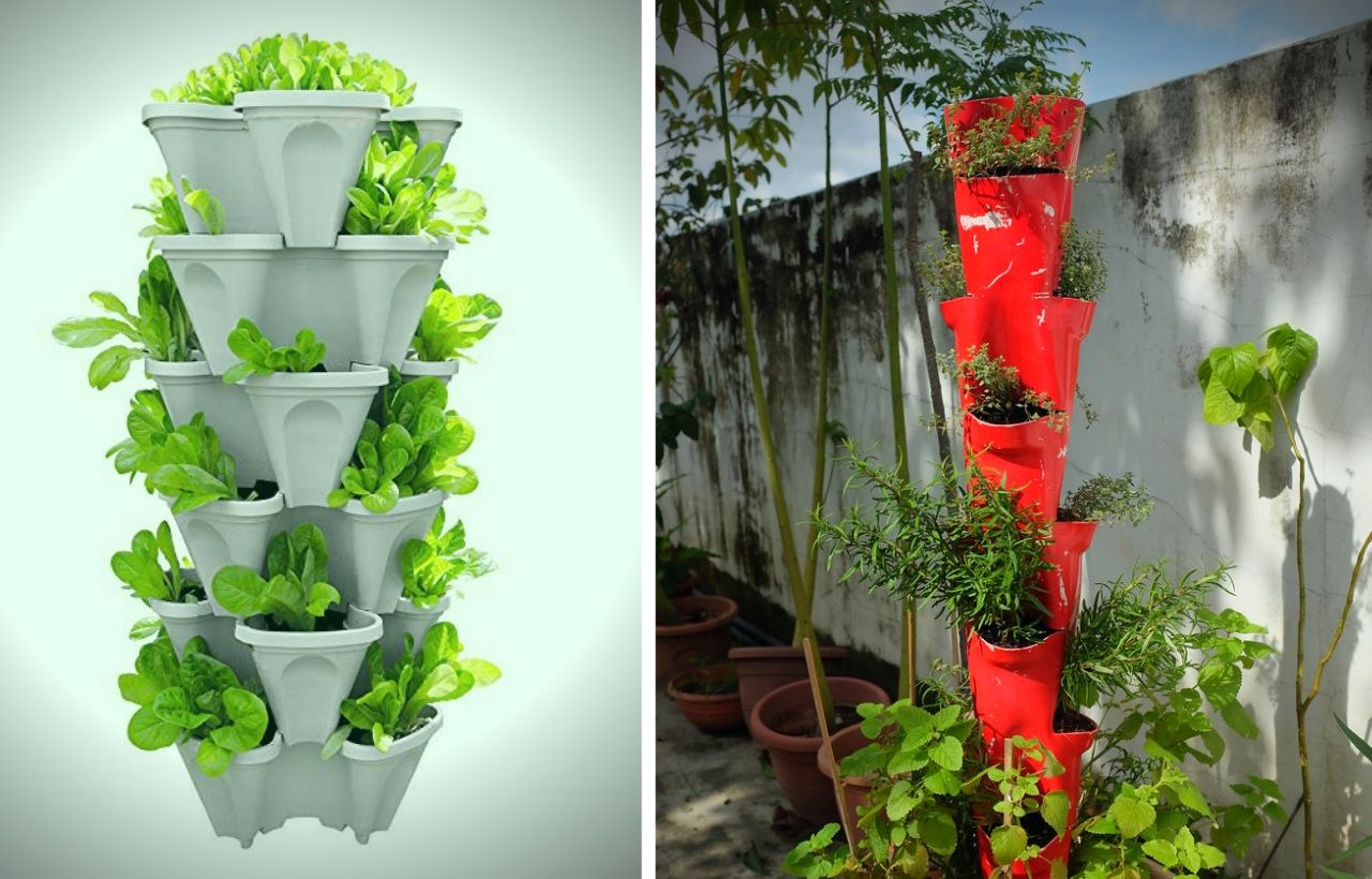 10 Best DIY & Cheap Container Vegetable Gardening Ideas Anyone Can Use