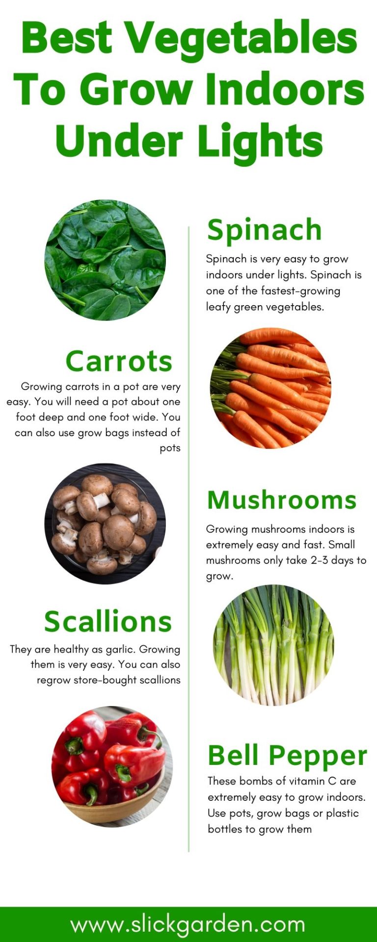 Best Vegetables To Grow Indoors Under Lights Slick Garden