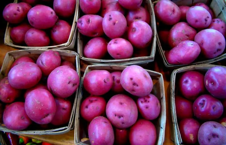 How To Grow Purple Potatoes In Containers Slick Garden