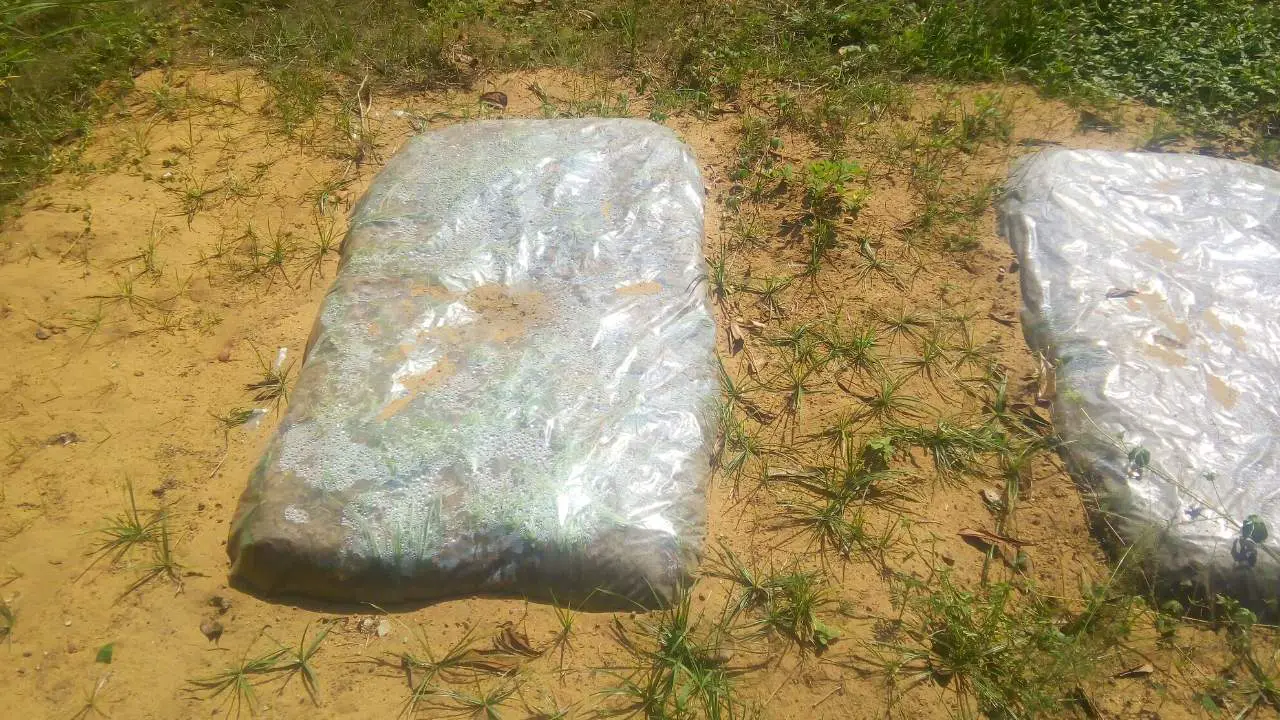 How To Keep Weeds Out Of Raised Garden Beds Extremely Easy Methods