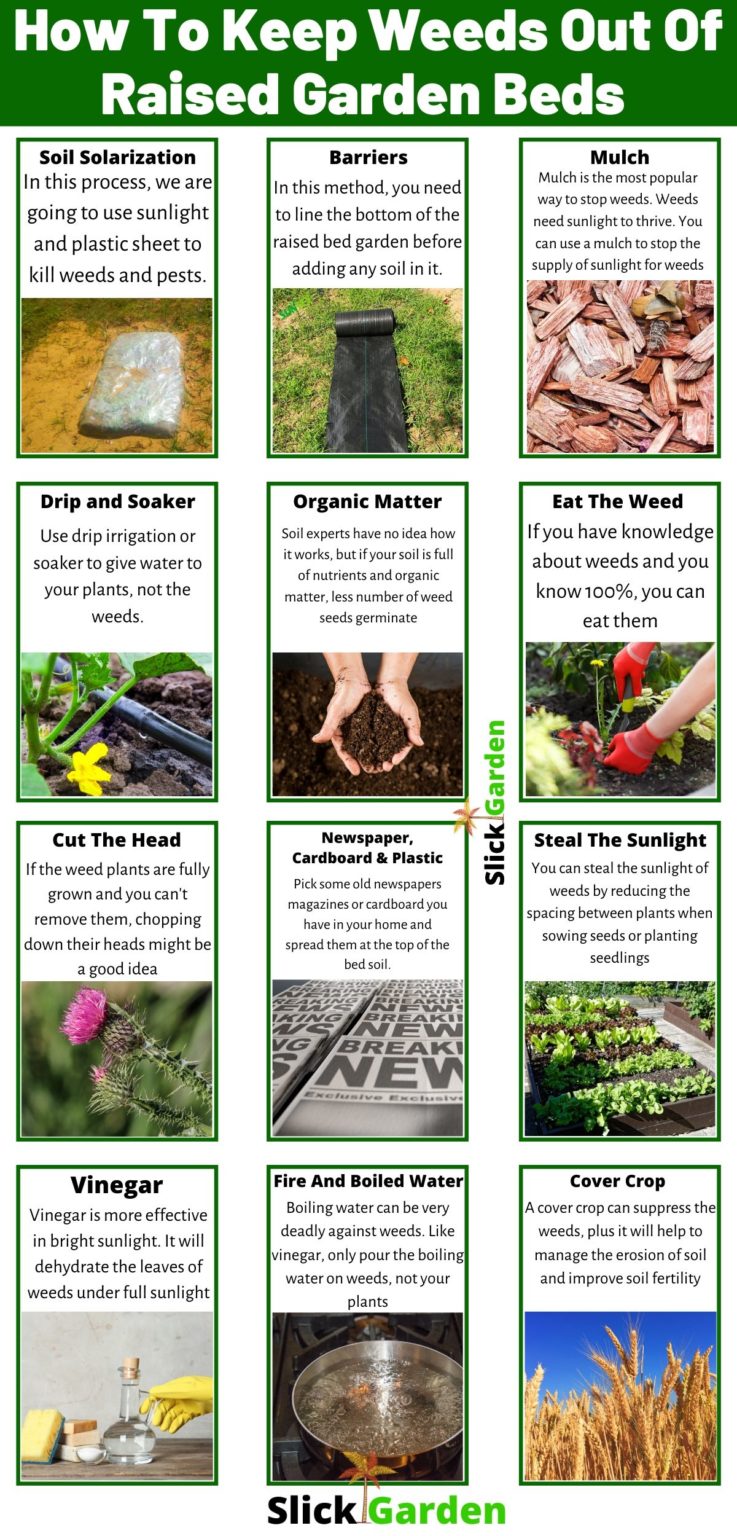 How To Keep Weeds Out Of Raised Garden Beds Extremely Easy Methods