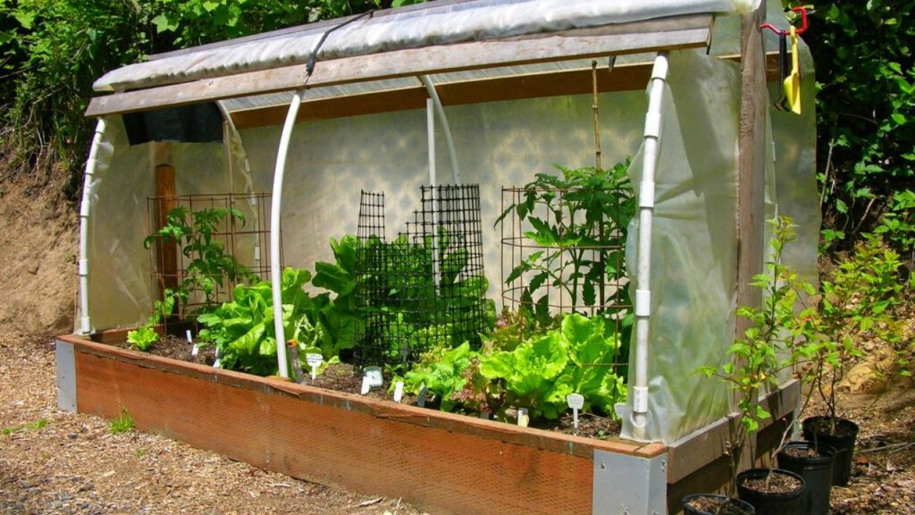 Greenhouse Raised Bed