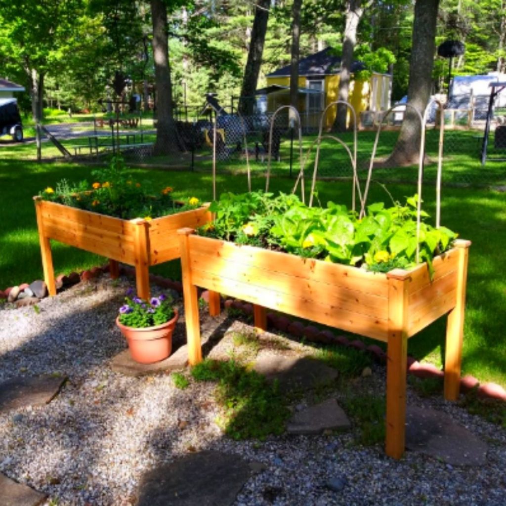 Elevated Raised Bed Garden