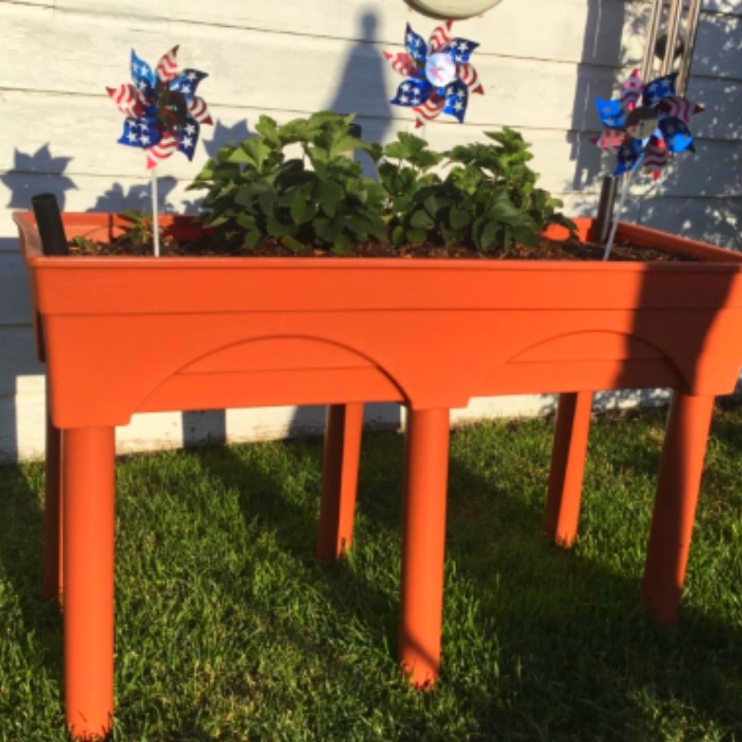 Plastic Raised Garden Beds On Legs How To And What To Grow In Them