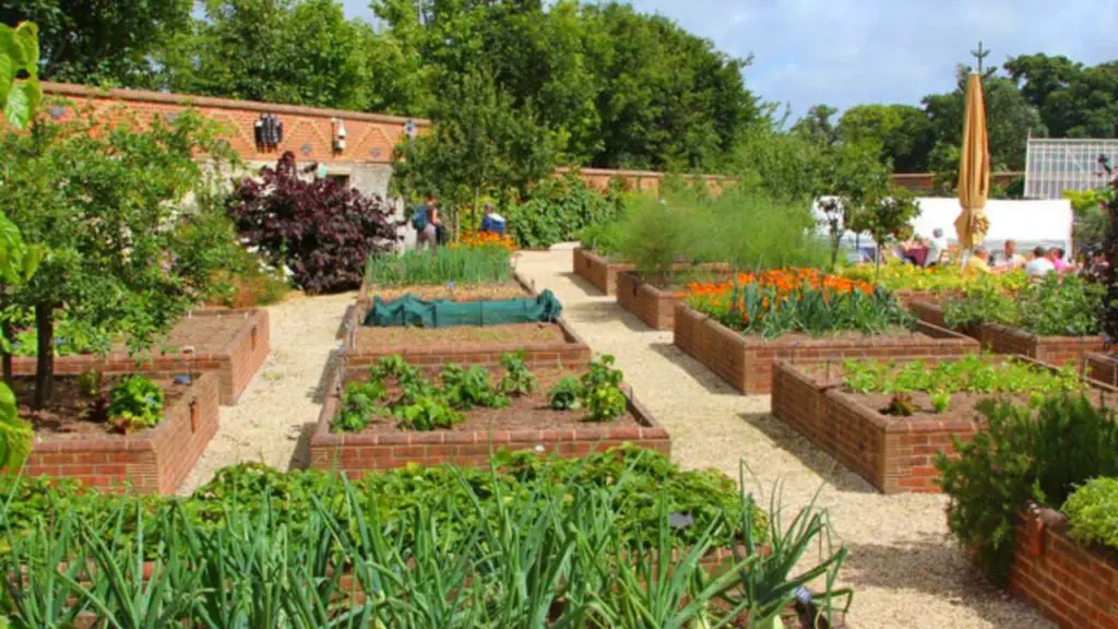 How To Space Tomato Plants In A 4x4 Raised Bed?