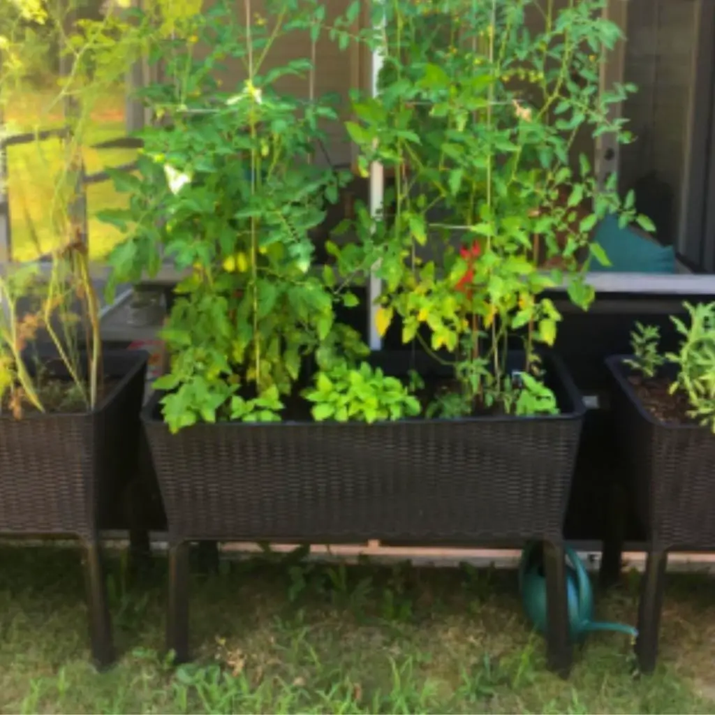 Plastic Raised Garden Beds On Legs How To And What To