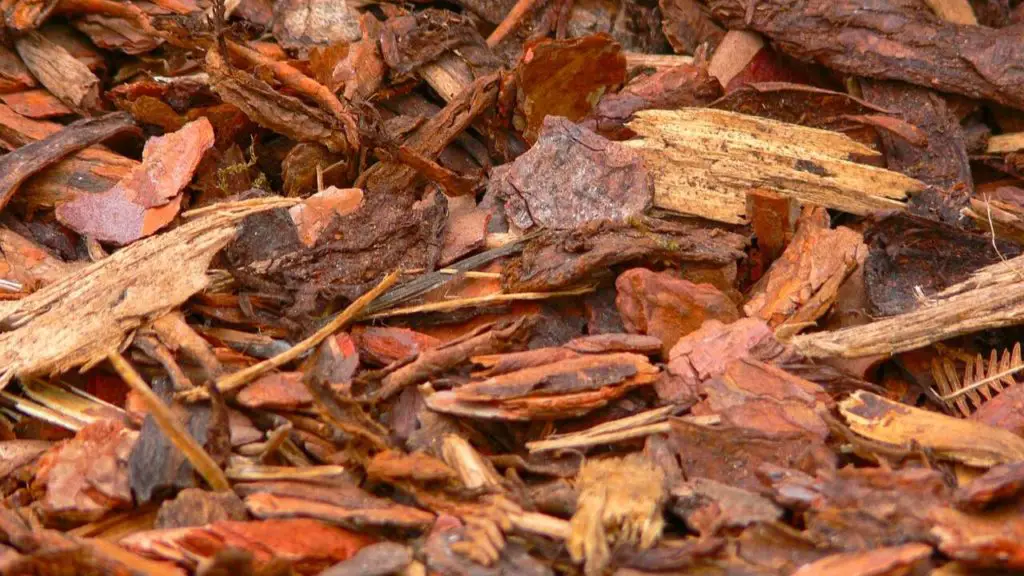 Mulch