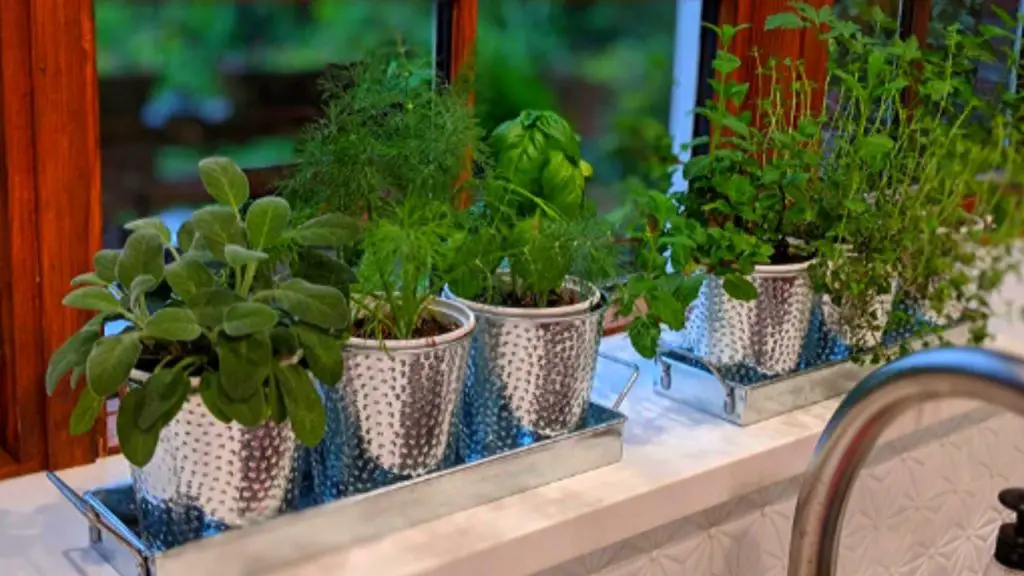 Windowsill Herb Pots