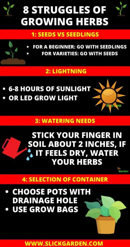 8 Struggles Of Growing Herbs Indoor And Their Solutions