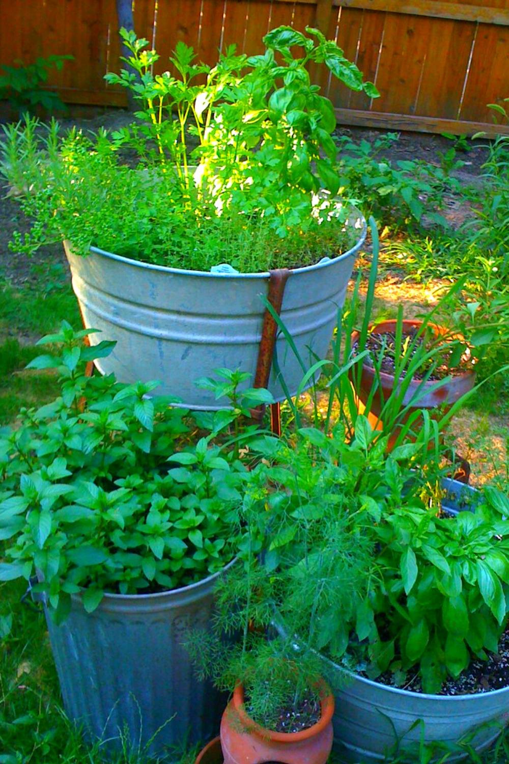 How To Build An Outdoor Herb Garden – Slick Garden