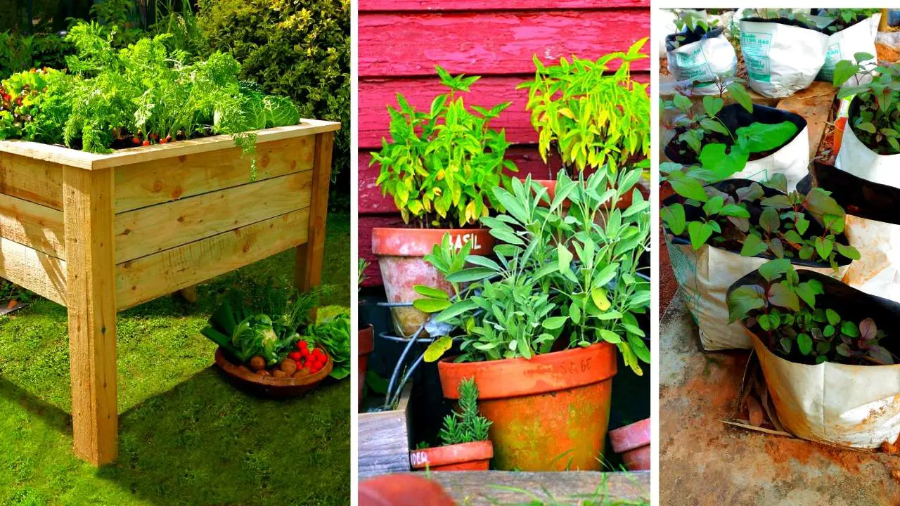 Growing Spinach Indoors Under Lights Slick Garden