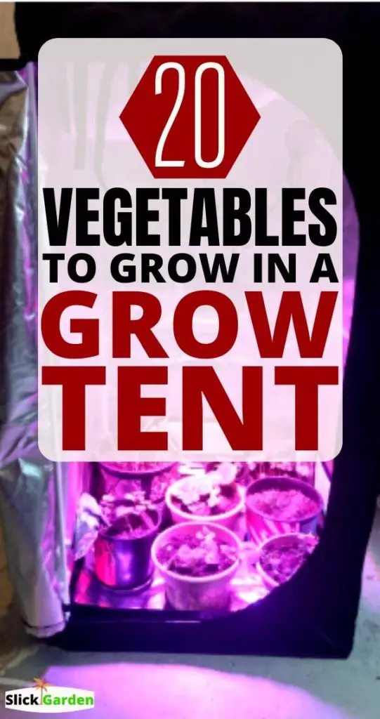 20 Easy Vegetables To Grow In Grow Tent
