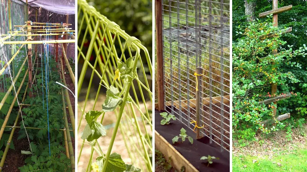 12 BEST Trellis For Cucumber In Raised Beds | Slick Garden