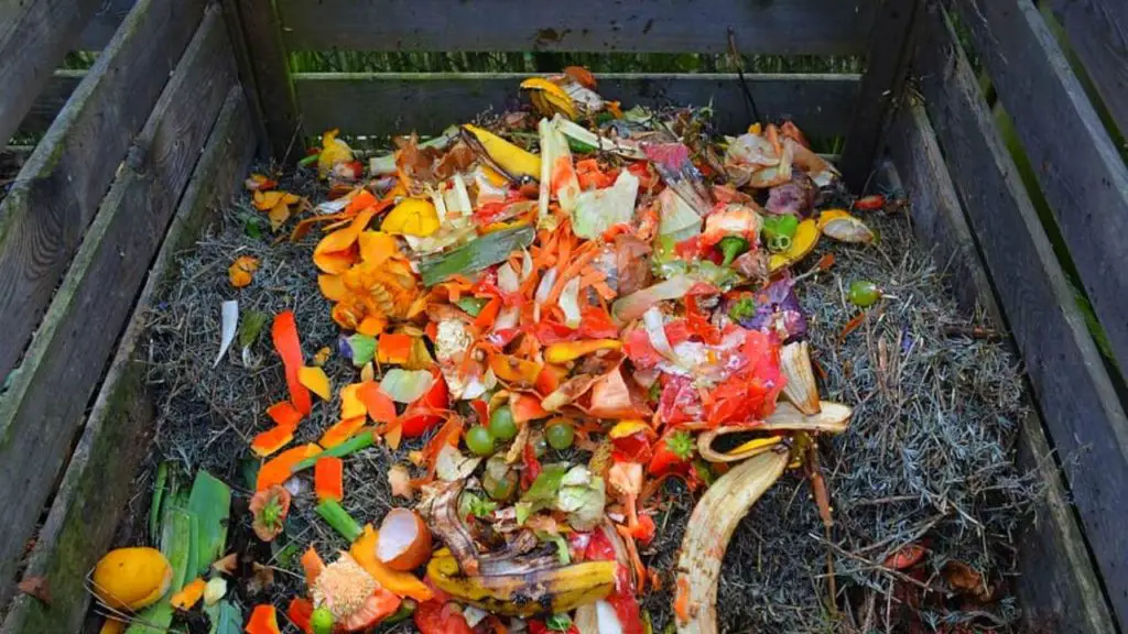 make compost at home