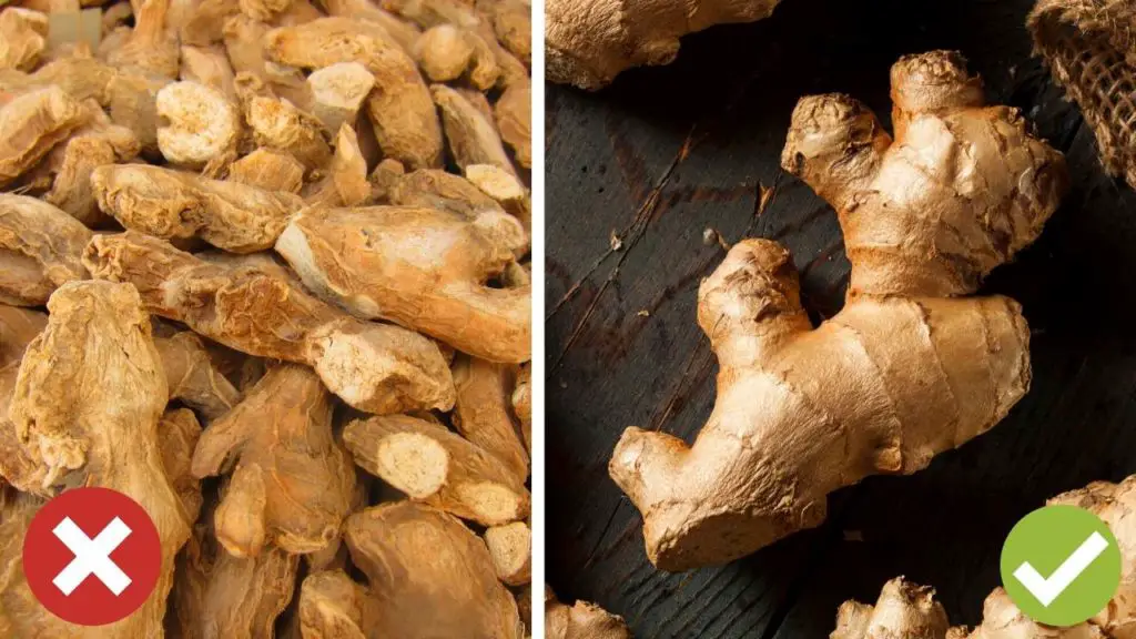 healthy and dry ginger