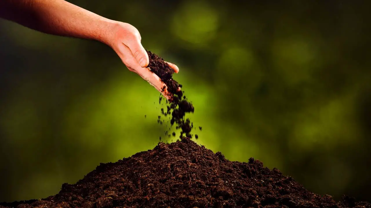 HOW TO AMEND CLAY SOIL FOR VEGETABLE GARDENING? Slick Garden