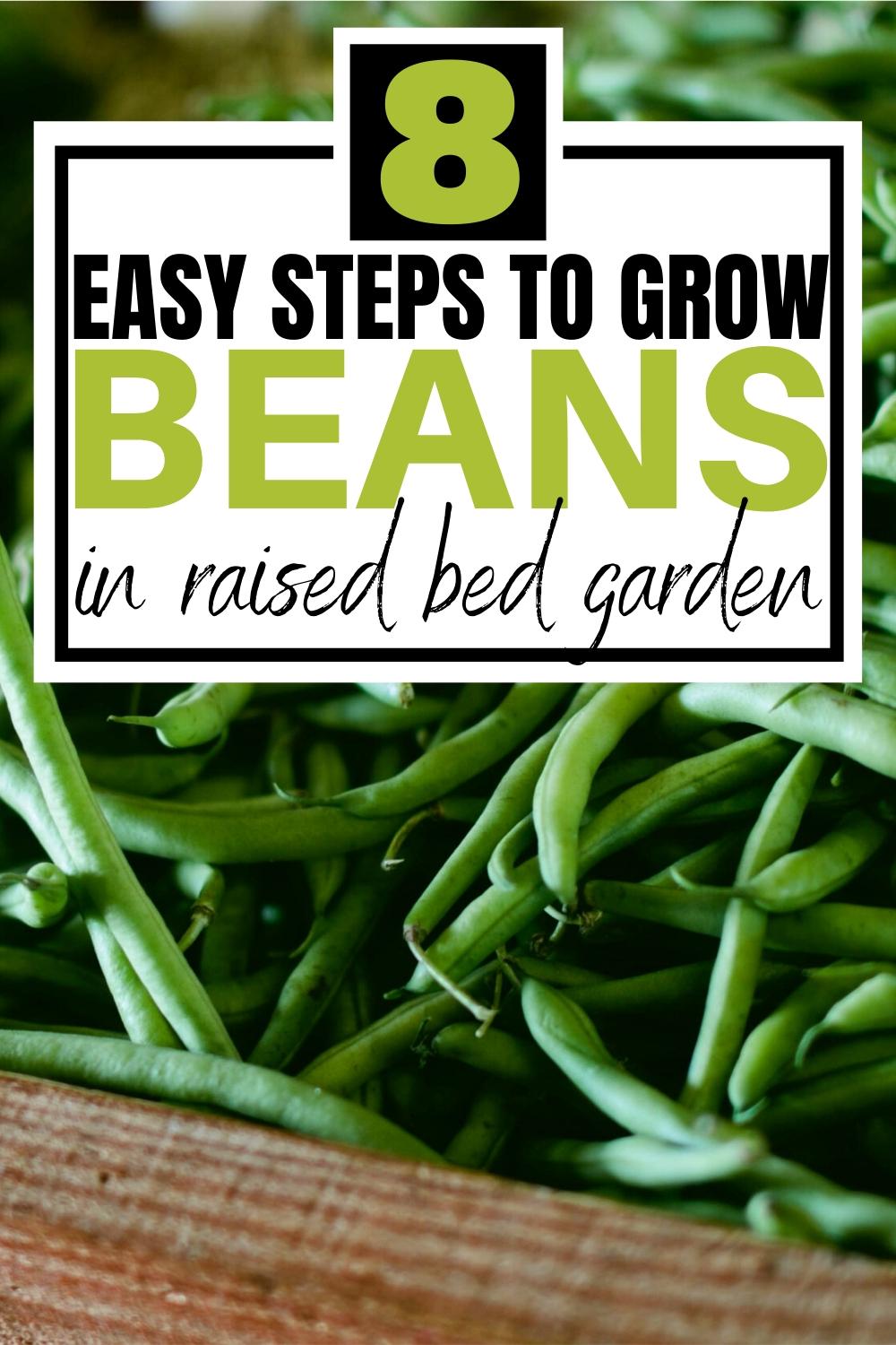 How To Grow Beans In A Raised Bed Garden Slick Garden