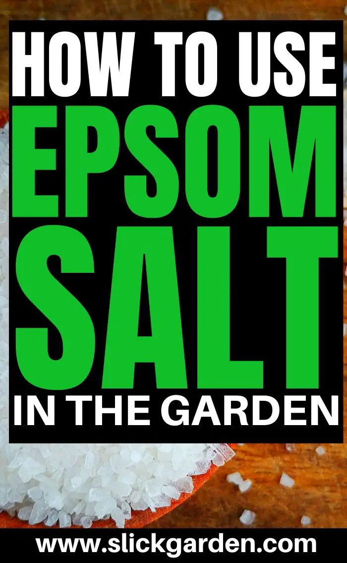 Best Ways To Use Epsom Salt In The Garden Slick Garden