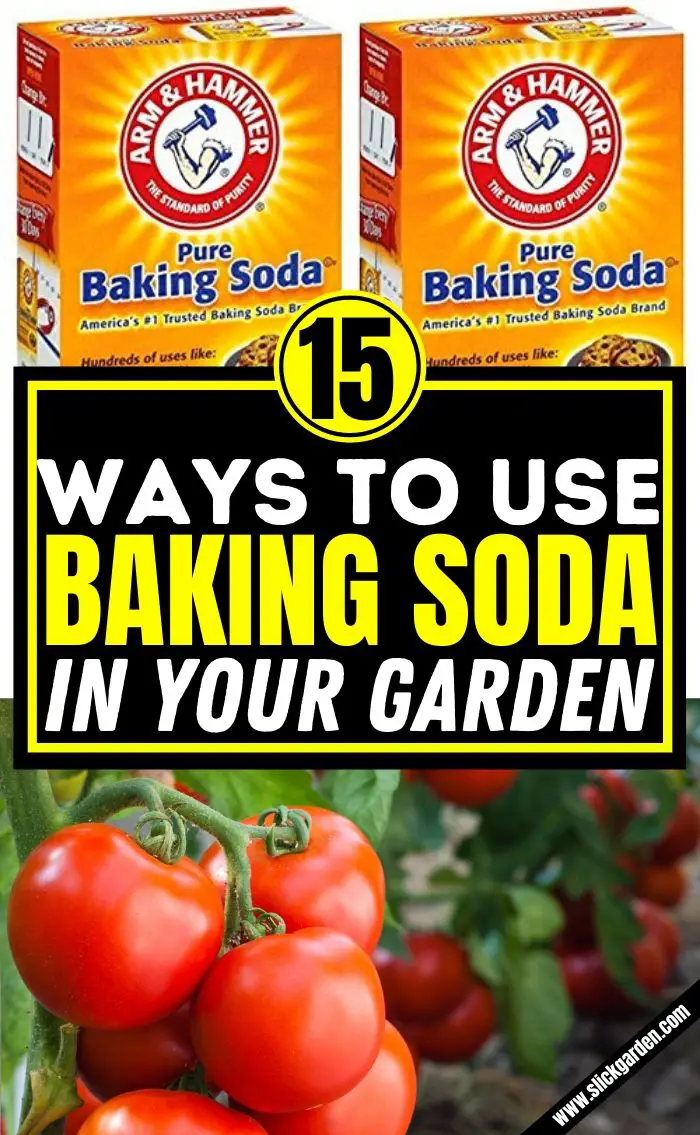 15 Ways To Use Baking Soda In Your Garden Slick Garden