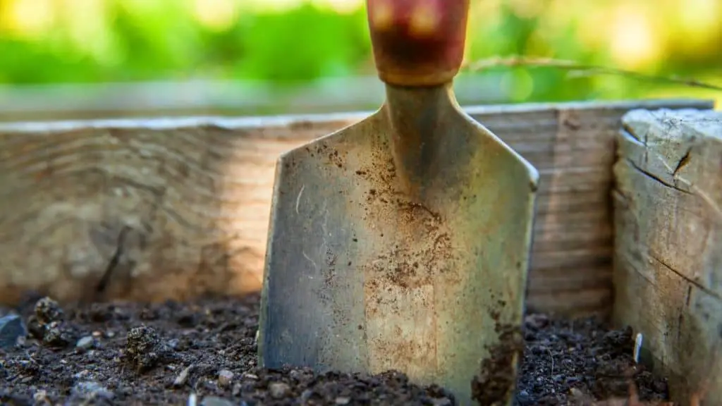 Raised Bed Garden