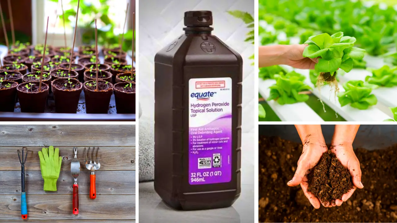 10 Surprising Uses Of Hydrogen Peroxide In Your Garden Slick Garden