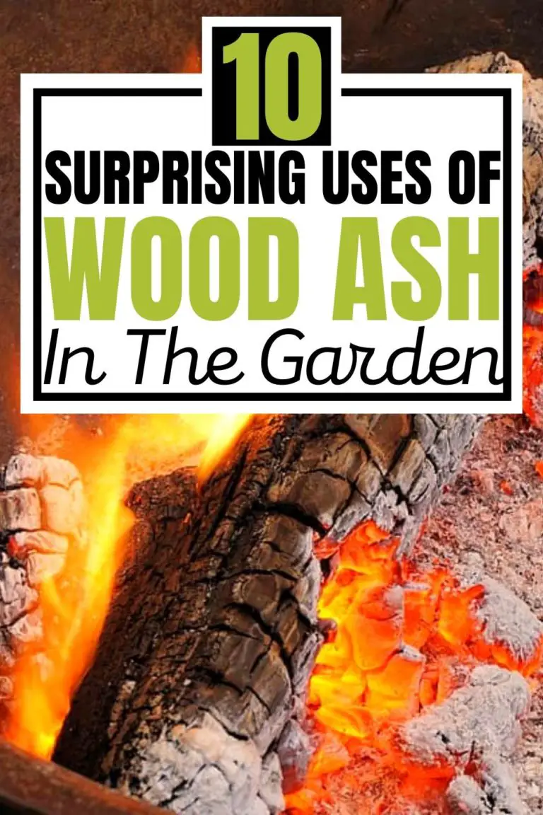 10 Surprising Uses Of Wood Ash In The Garden Slick Garden