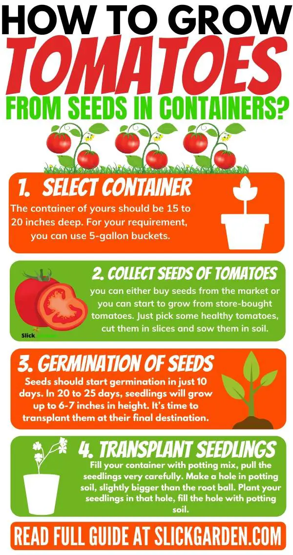 How To Grow Tomatoes From Seeds In Containers Slick Garden