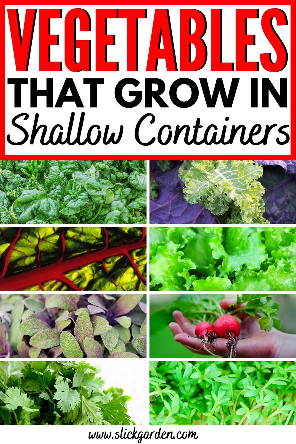 Vegetables That Grow In Shallow Containers Slick Garden