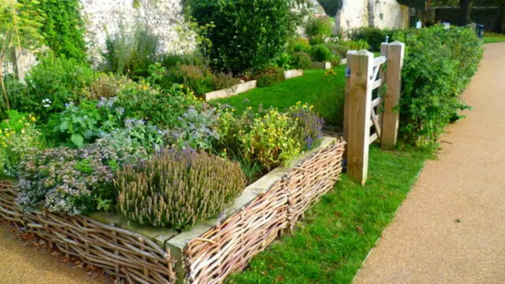 raised bed herb garden