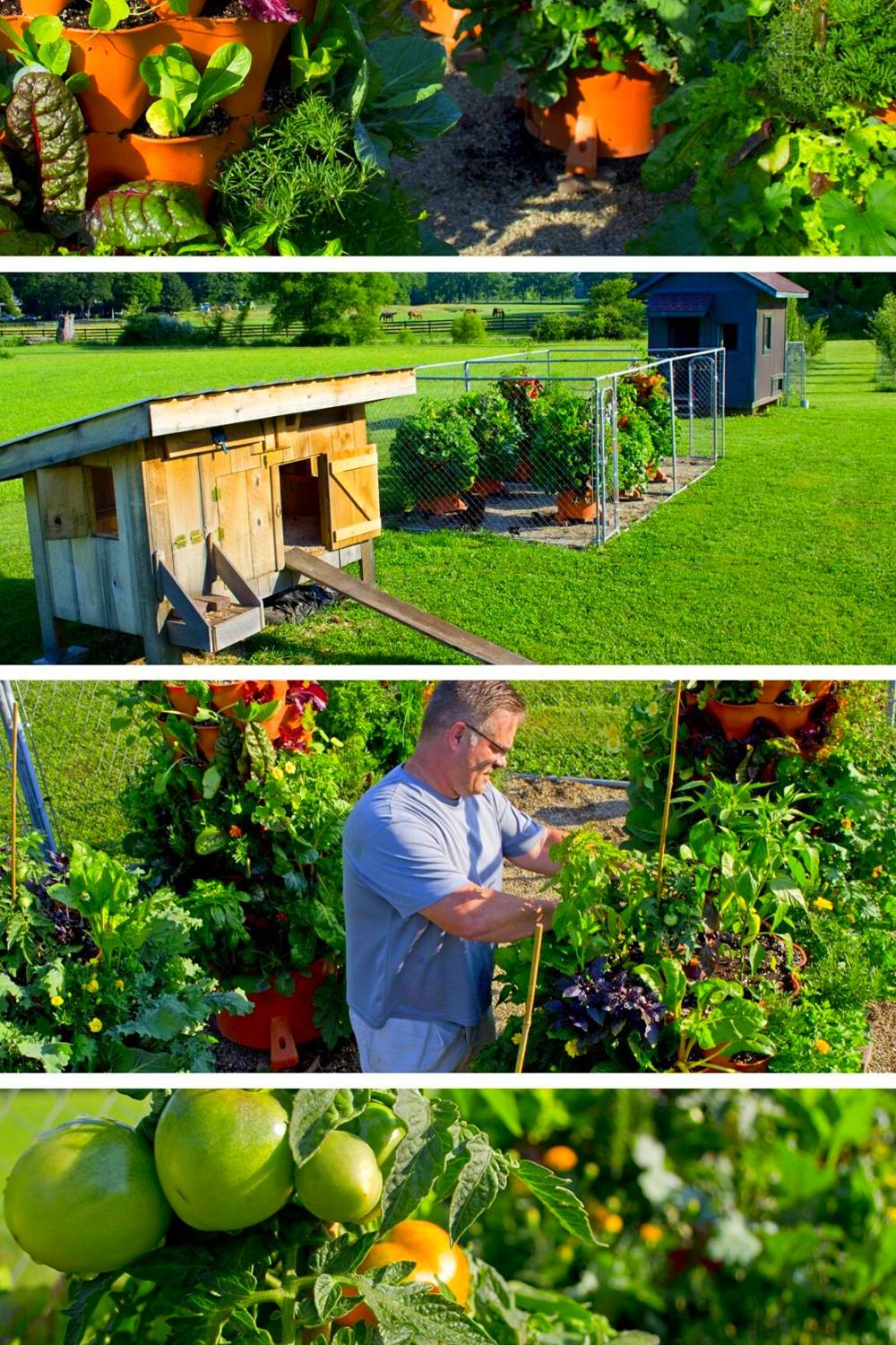 How To Grow Tomatoes In A Vertical Garden? Slick Garden