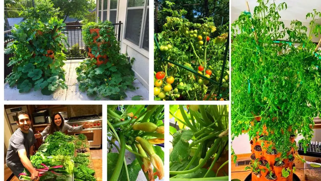 Grow Tomatoes In A Vertical Garden