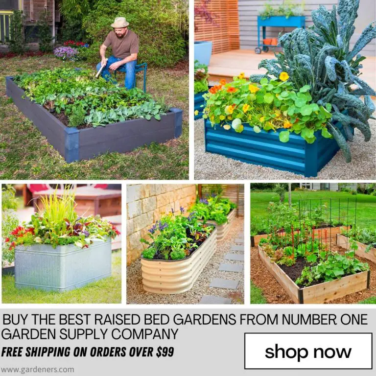 How Many Tomato Plants In A 4x4 Raised Bed? Slick Garden