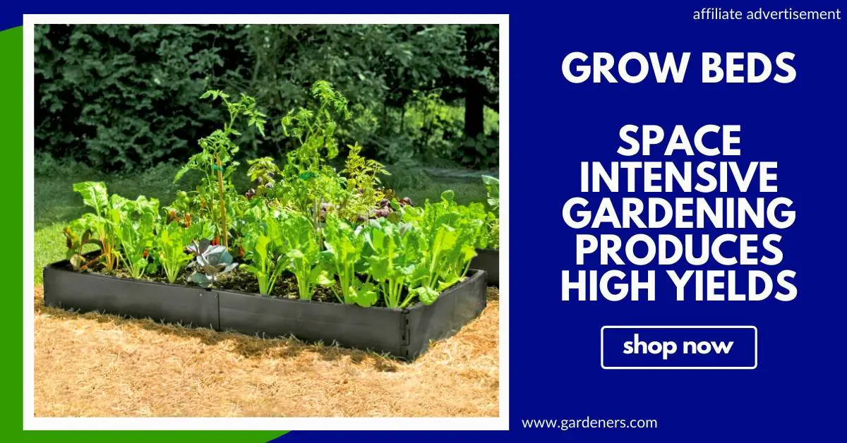 Top 10 Summer Veggies To Grow In A Raised Bed Slick Garden