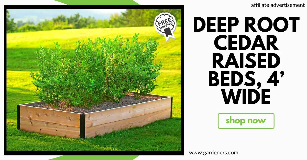 How To Keep Weeds Out Of Raised Garden Beds Extremely Easy Methods