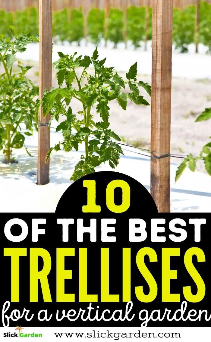 10 Best Trellis Ideas For Vertical Gardening Slick Garden