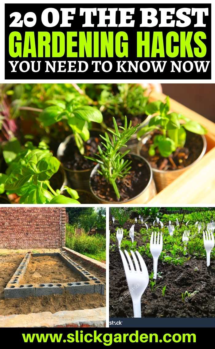 20 GARDENING HACKS YOU NEED TO KNOW NOW – Slick Garden