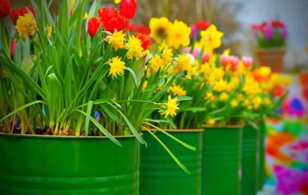 HANGING FLOWER TINS