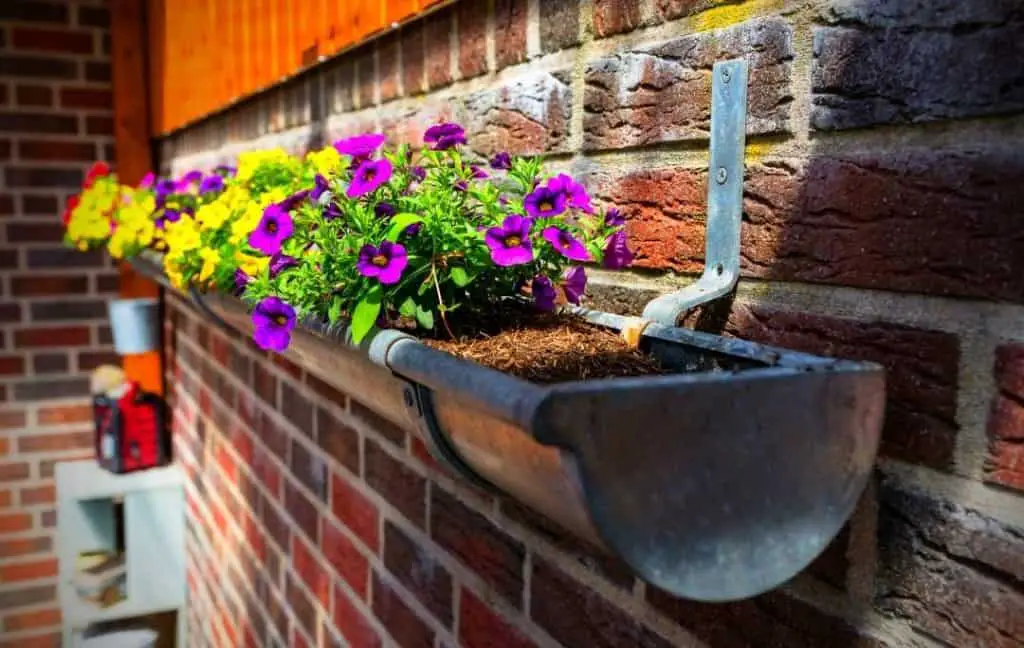 GUTTER GARDEN