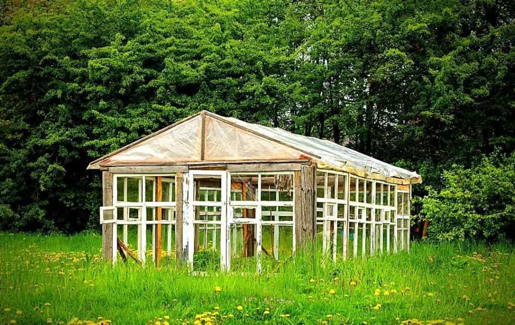 GREENHOUSE PLANS