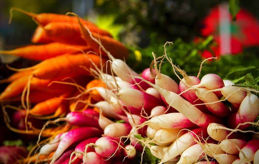 vegetables-that-can-grow-in-sandy-soil-slick-garden