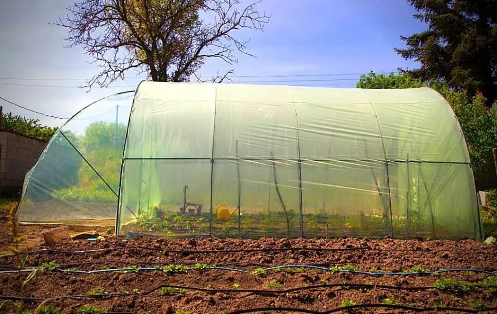 diy greenhouse
